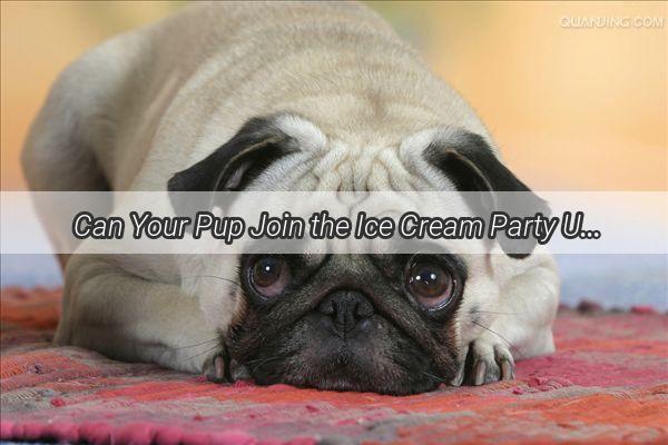 Can Your Pup Join the Ice Cream Party Unveiling the Truth About DogFriendly Zhongxuegao